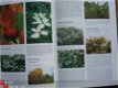 Bomen- en struikenencyclopedie - 2 - Thumbnail