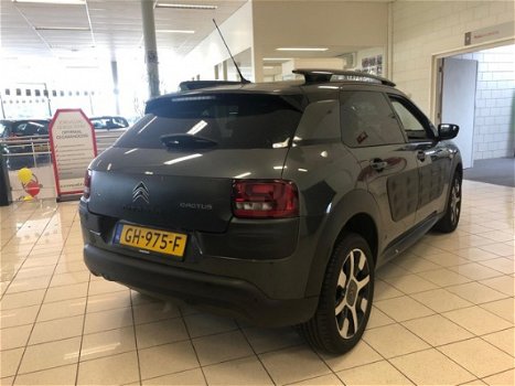 Citroën C4 Cactus - 82 Shine Automaat - 1