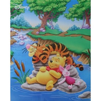 Winnie the Pooh sleeping poster bij Stichting Superwens! - 1