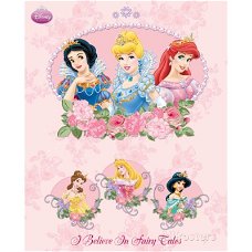 Disney Prinsessen poster bij Stichting Superwens!