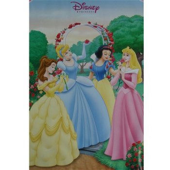 Disney Prinsessen poster bij Stichting Superwens! - 1