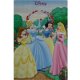 Disney Prinsessen poster bij Stichting Superwens! - 1 - Thumbnail