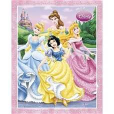 Disney Princess - Terrace Group poster bij Stichting Superwens!