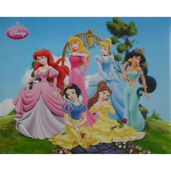 Disney Prinsessen poster bij Stichting Superwens! - 1