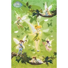 Disney Fairies poster bij Stichting Superwens!