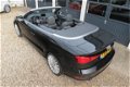 Audi A3 Cabriolet - 1.6 TDI Ambition Pro Line Plus | XENON | ECC | 18'' LMV - 1 - Thumbnail