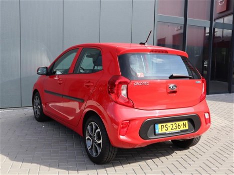 Kia Picanto - 1.0 DynamicPlusLine | Navi | 15'LM | Camera | Climate - 1