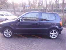 Volkswagen Polo - 14