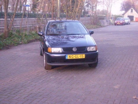 Volkswagen Polo - 14 - 1