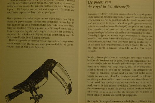 Neem nou dierentuindieren - 2