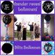 Blitz Ballonnen Bollenstreek - Lisse - 6 - Thumbnail