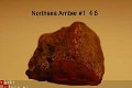 #1 Noordzee Ruwe Barnsteen Natural Amber Bernstein - 1 - Thumbnail