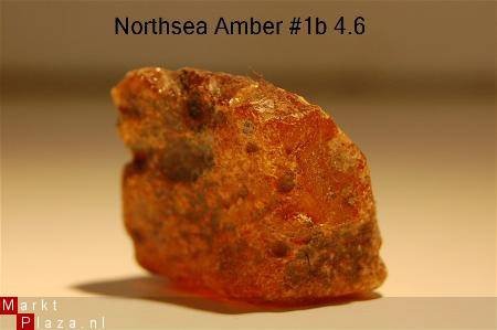 #1 Noordzee Ruwe Barnsteen Natural Amber Bernstein - 1