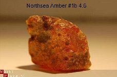 #1 Noordzee Ruwe Barnsteen Natural Amber Bernstein