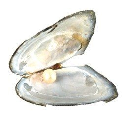 UNIEK GIFT LOVE PEARL LOVE ROOD KADO TIP - Afbeelding 3
