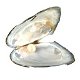 UNIEK GIFT LOVE PEARL MOTHER KADO TIP - 2 - Thumbnail