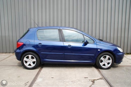 Peugeot 307 - 1.6-16V XS - 1