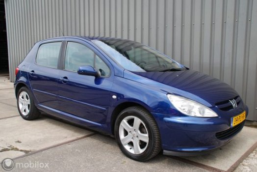 Peugeot 307 - 1.6-16V XS - 1