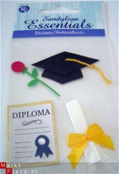 SANDYLION ESSENTIALS diploma - 1