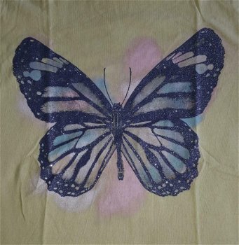 ### Mooi shirtje met vlinder.(158/164)### - 2