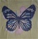 ### Mooi shirtje met vlinder.(158/164)### - 2 - Thumbnail