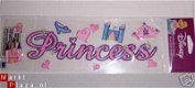 DISNEY titel op stof prinsess - 1 - Thumbnail