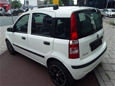 Fiat Panda - 1.2 Edizione Cool Black & White Edition