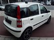 Fiat Panda - 1.2 Edizione Cool Black & White Edition - 1 - Thumbnail