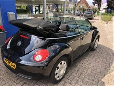 Volkswagen New Beetle Cabriolet - 1.6 Highline Cabrio