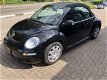 Volkswagen New Beetle Cabriolet - 1.6 Highline Cabrio - 1 - Thumbnail