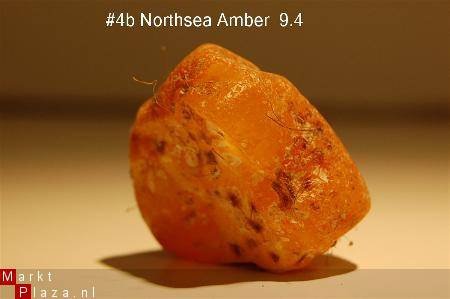 #4 Ruwe Barnsteen Natural Amber Bernstein - 1