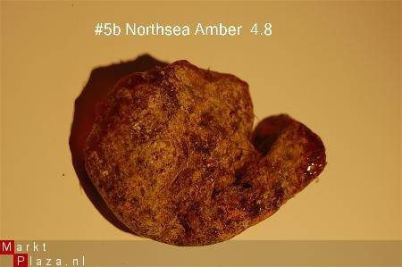 #5 Ruwe Barnsteen Natural Amber Bernstein - 1