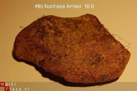 #8 Ruwe Barnsteen Natural Amber Bernstein - 1