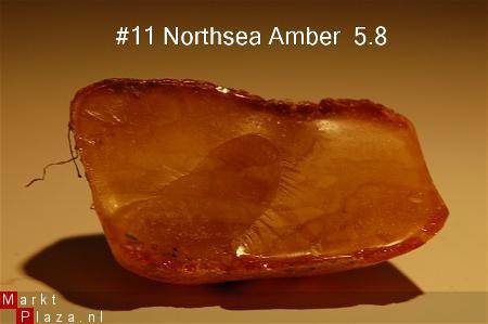 #11 Ruwe Barnsteen Natural Amber Bernstein - 1