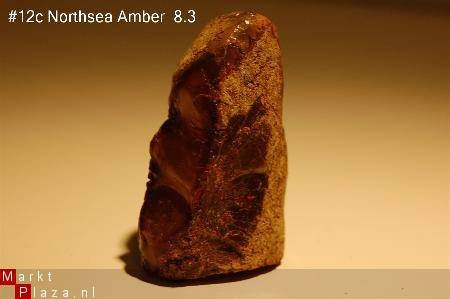 #12 Ruwe Barnsteen Natural Amber Bernstein - 1