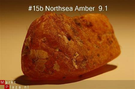 #15 Ruwe Barnsteen Natural Amber Bernstein - 1