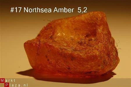 #17 Ruwe Barnsteen Natural Amber Bernstein - 1