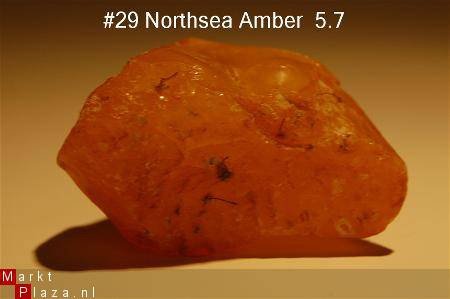 #29 Ruwe Barnsteen Natural Amber Bernstein - 1