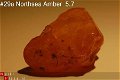 #29 Ruwe Barnsteen Natural Amber Bernstein - 1 - Thumbnail