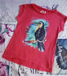 ### Leuk shirtje met tropische vogel.(146/152) ###