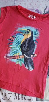 ### Leuk shirtje met tropische vogel.(146/152) ### - 2