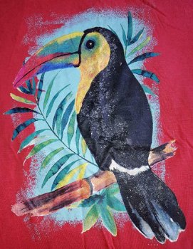 ### Leuk shirtje met tropische vogel.(146/152) ### - 3