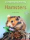 Hamsters, Georg Gabner - 1 - Thumbnail
