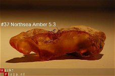#37 Ruwe Barnsteen Natural Amber Bernstein