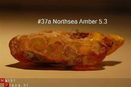 #37 Ruwe Barnsteen Natural Amber Bernstein - 1