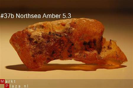 #37 Ruwe Barnsteen Natural Amber Bernstein - 1