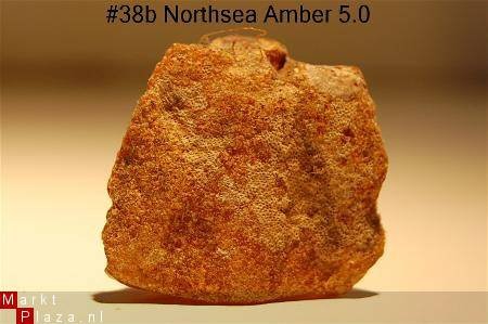 #38 Ruwe Barnsteen Natural Amber Bernstein - 1