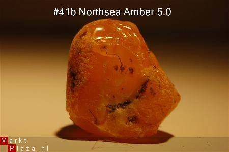 #41 Ruwe Barnsteen Natural Amber Bernstein - 1