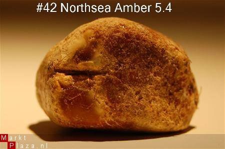 #42 Ruwe Barnsteen Natural Amber Bernstein - 1