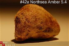 #42 Ruwe Barnsteen Natural Amber Bernstein